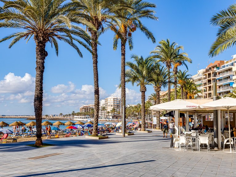 Apartment for Sale in Torrevieja, Alicante 47