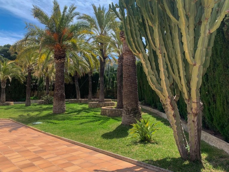 Villa for Sale in Costa Blanca Albir, Alicante 35