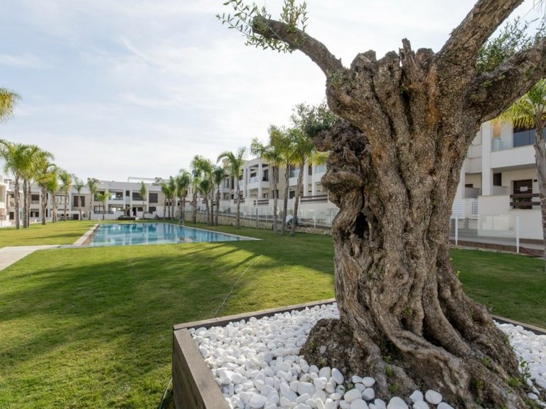 Penthouse for Sale in Torrevieja, Alicante 40