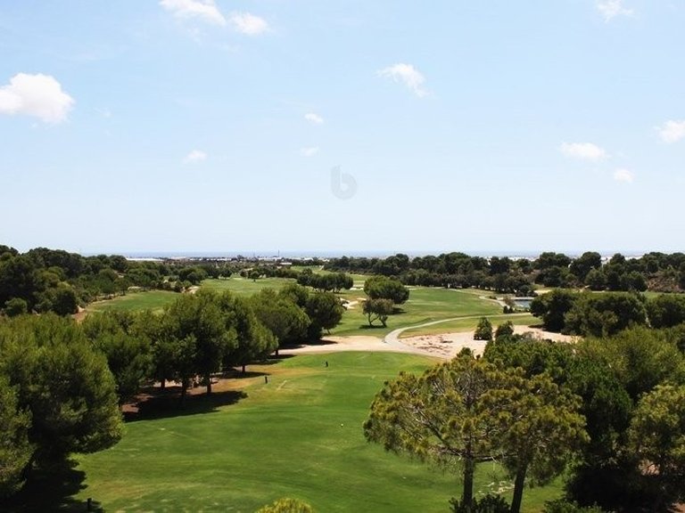 Apartment for Sale in Pilar De La Horadada, Alicante 21