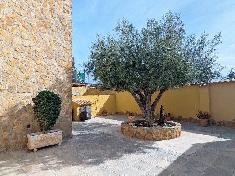 Villa for Sale in Inland Bigastro, Alicante 8