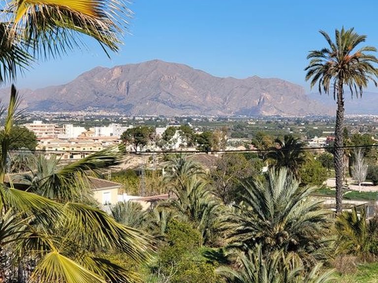 Villa for Sale in Inland Bigastro, Alicante 11