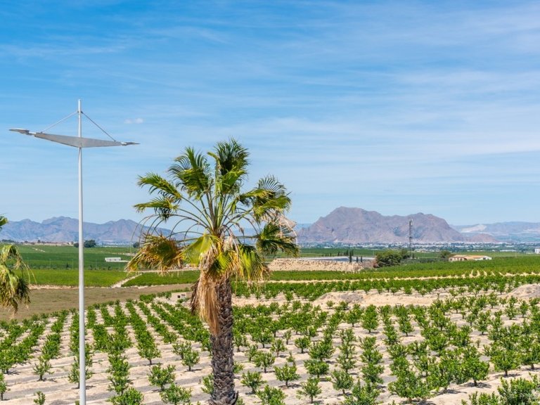 Villa for Sale in Algorfa, Alicante 24