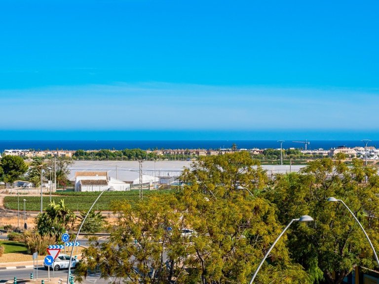 Penthouse for Sale in Pilar De La Horadada, Alicante 10