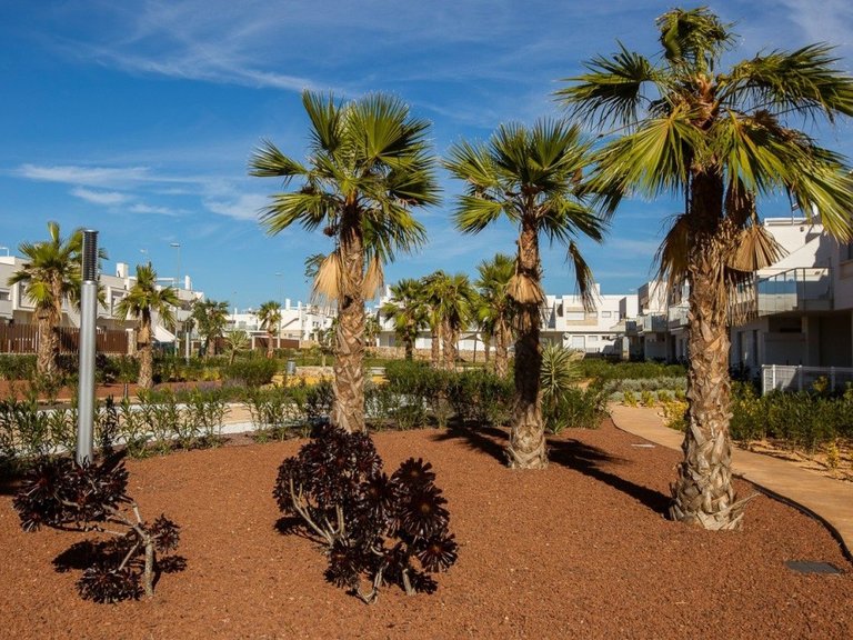 Town House for Sale in Vistabella Golf, Alicante 26
