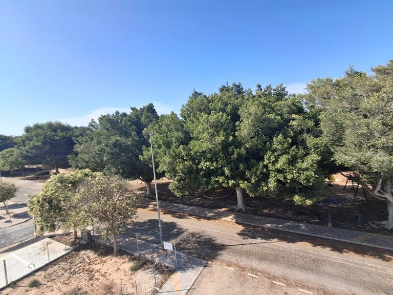 Villa for Sale in Mil Palmeras, Alicante 20