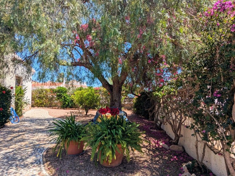 Villa for Sale in Costa Blanca Ciudad Quesada, Alicante 3