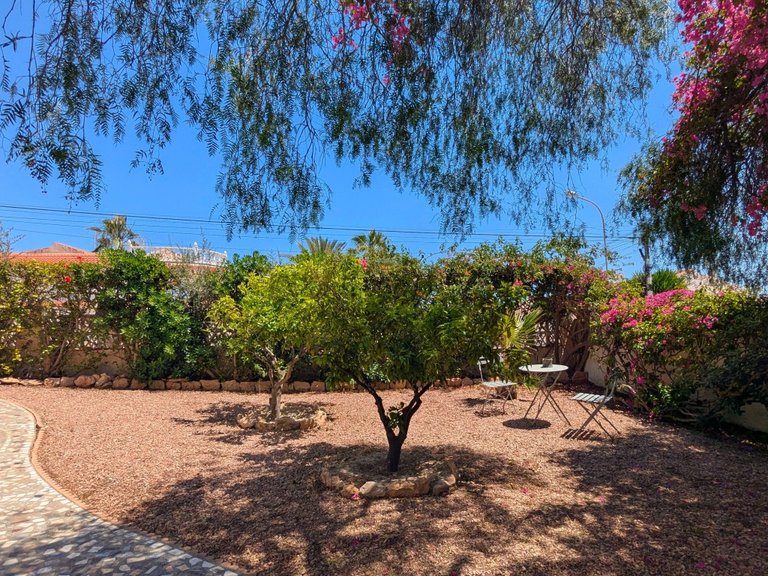 Villa for Sale in Costa Blanca Ciudad Quesada, Alicante 6