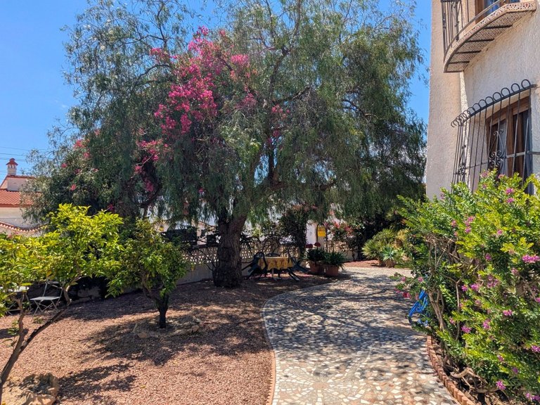 Villa for Sale in Costa Blanca Ciudad Quesada, Alicante 9