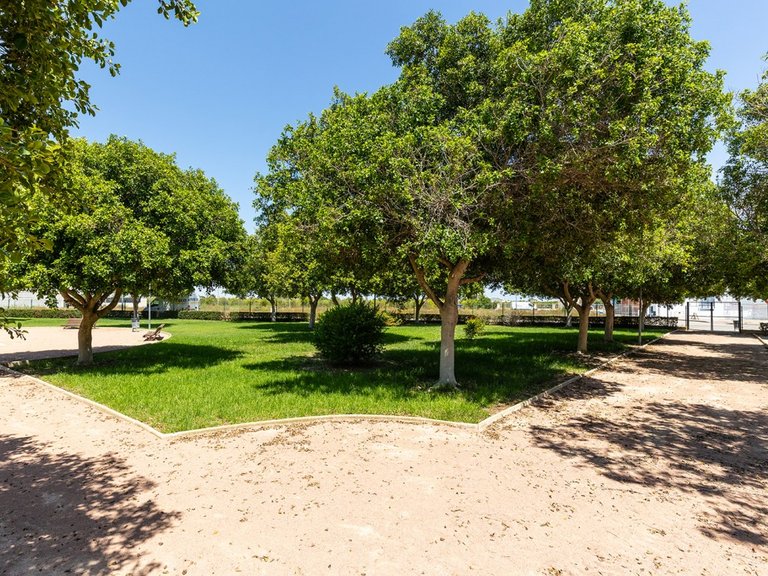 Town House for Sale in Rafal, Alicante 58