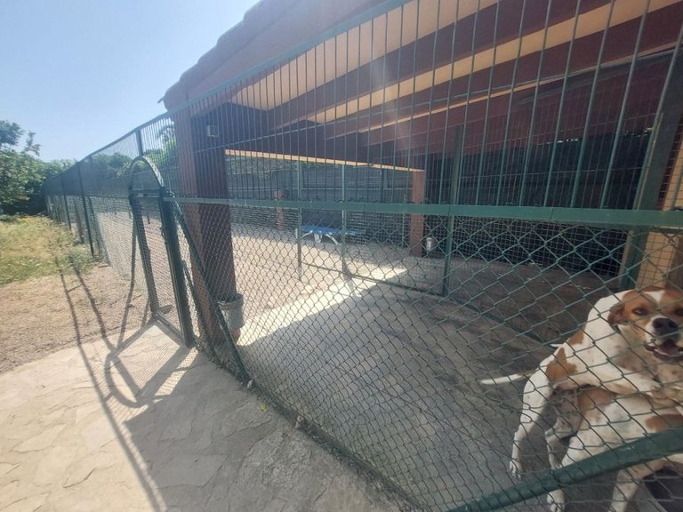 Villa for Sale in Costa Blanca Albir, Alicante 18