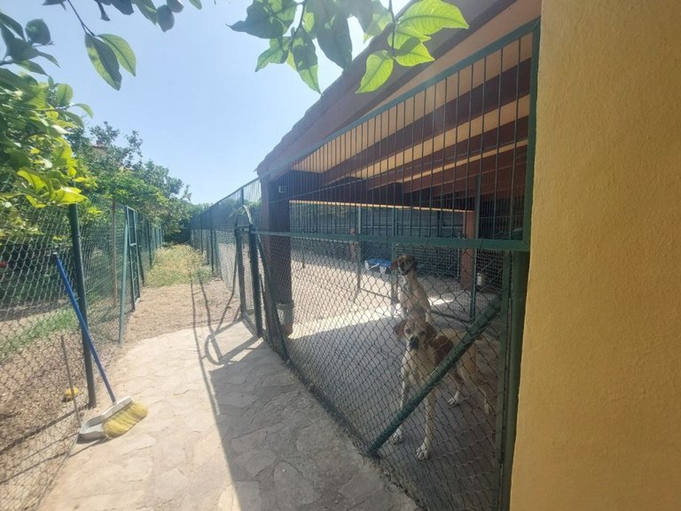 Villa for Sale in Costa Blanca Albir, Alicante 14