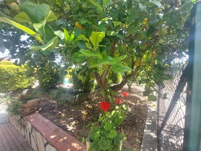 Villa for Sale in Costa Blanca Albir, Alicante 15