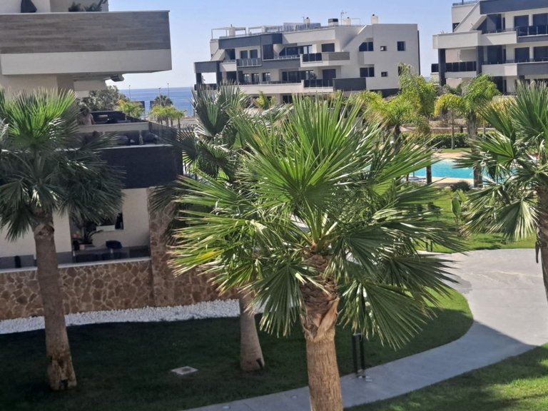 Apartment for Sale in Costa Blanca Playa Flamenca, Alicante 25