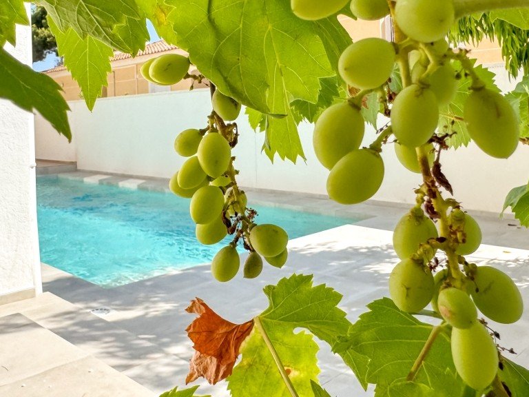 Villa for Sale in Los Altos, Alicante 37