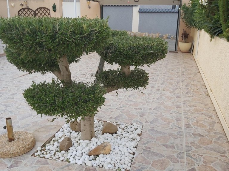 Villa for Sale in Benimar, Alicante 23