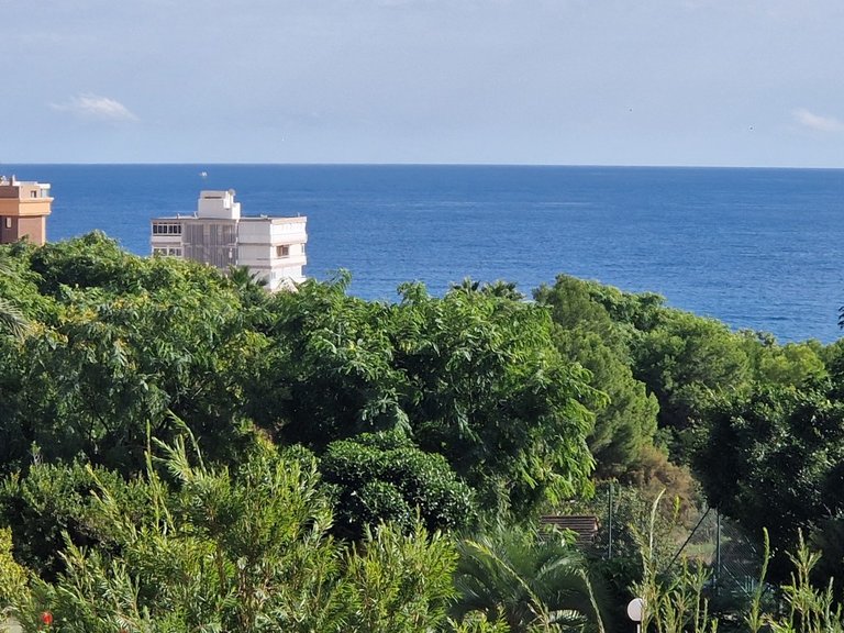 Apartment for Sale in Costa Blanca Benidorm, Alicante 10