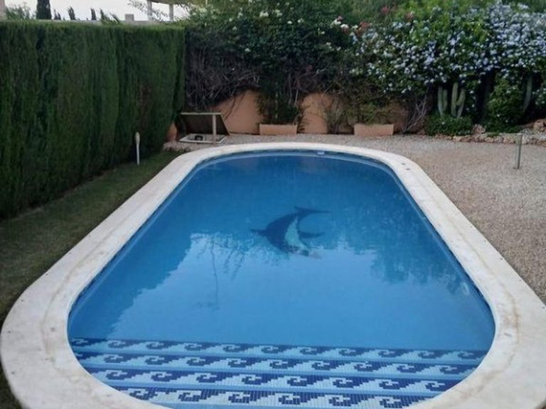 Villa for Sale in Playa Honda, Murcia 10