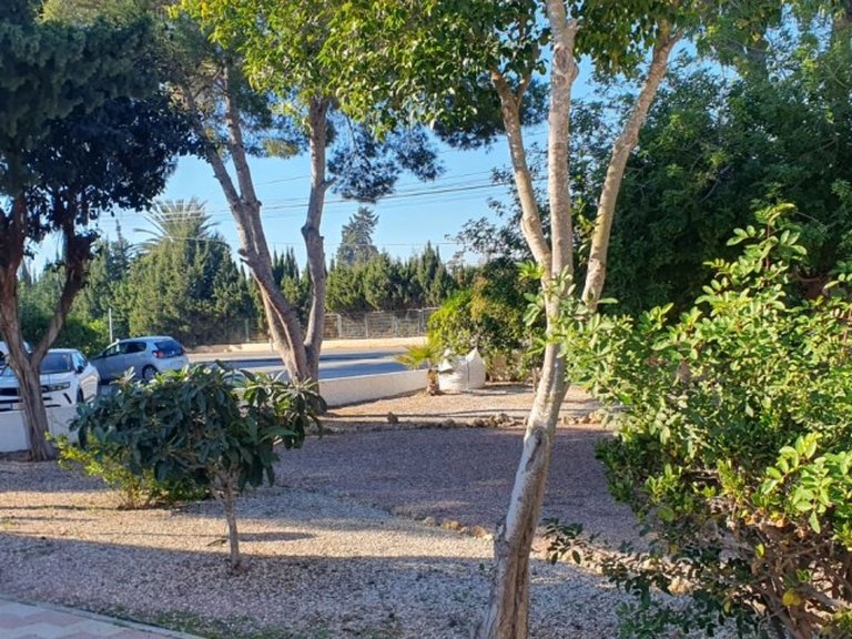 Town House for Sale in Guardamar Del Segura, Alicante 31