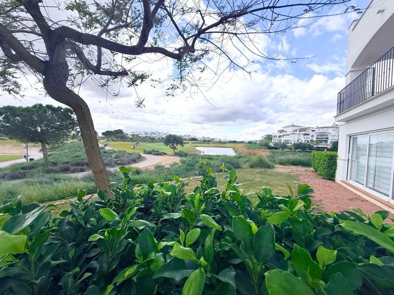 Apartment for Sale in Hacienda Riquelme Golf Resort, Murcia 13
