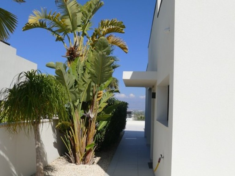 Villa for Sale in Costa Blanca Benijofar, Alicante 18