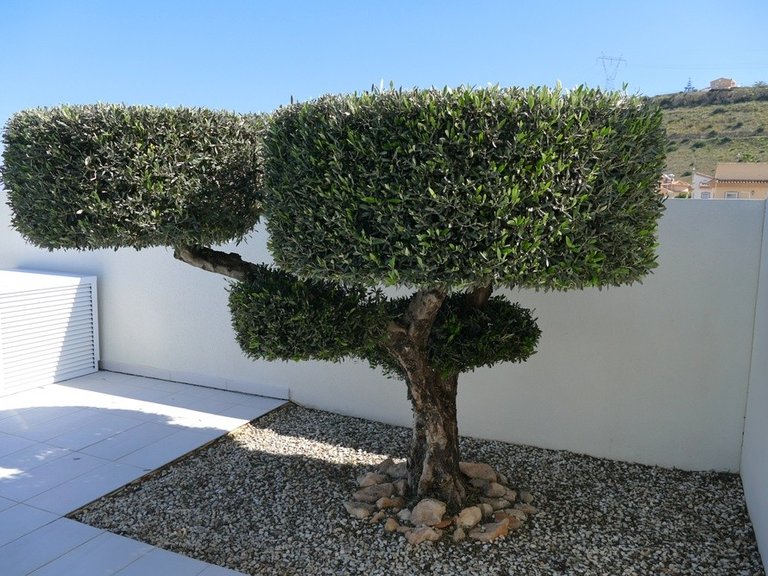 Villa for Sale in Costa Blanca Benijofar, Alicante 29
