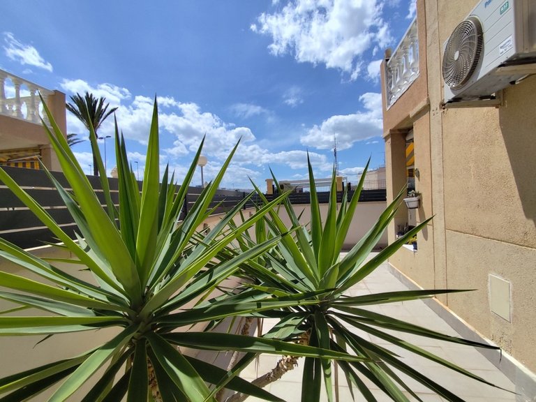 Apartment for Sale in Torrevieja, Alicante 20