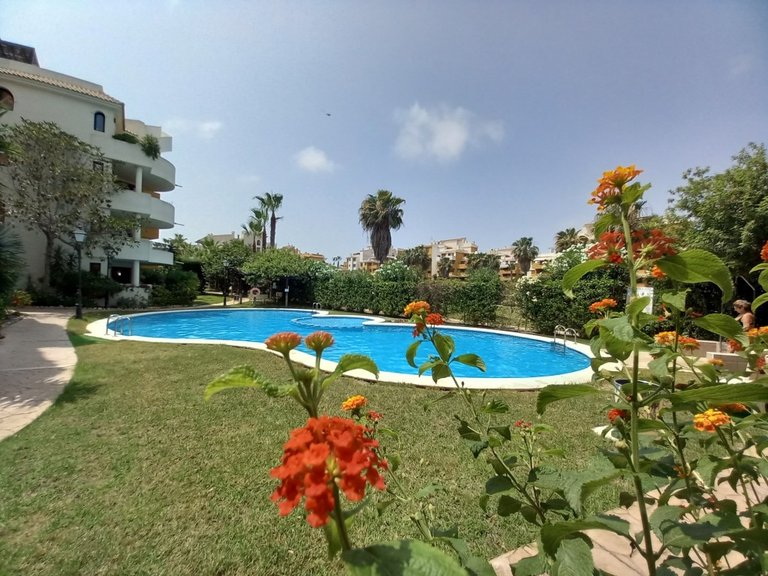 Penthouse for Sale in Punta Prima, Alicante 25