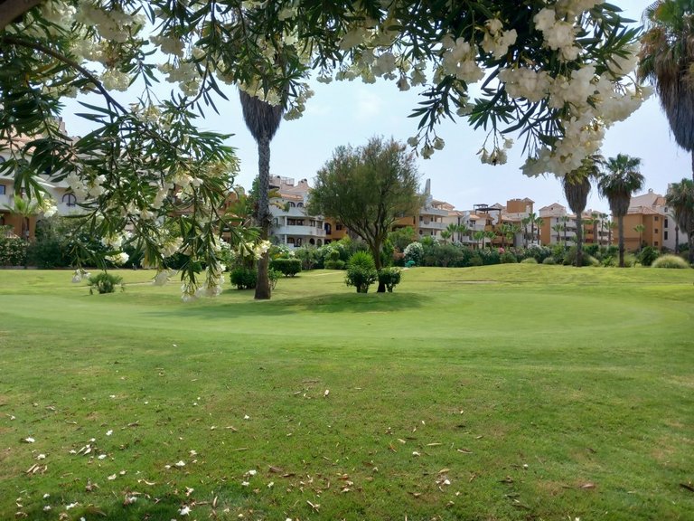 Penthouse for Sale in Punta Prima, Alicante 31