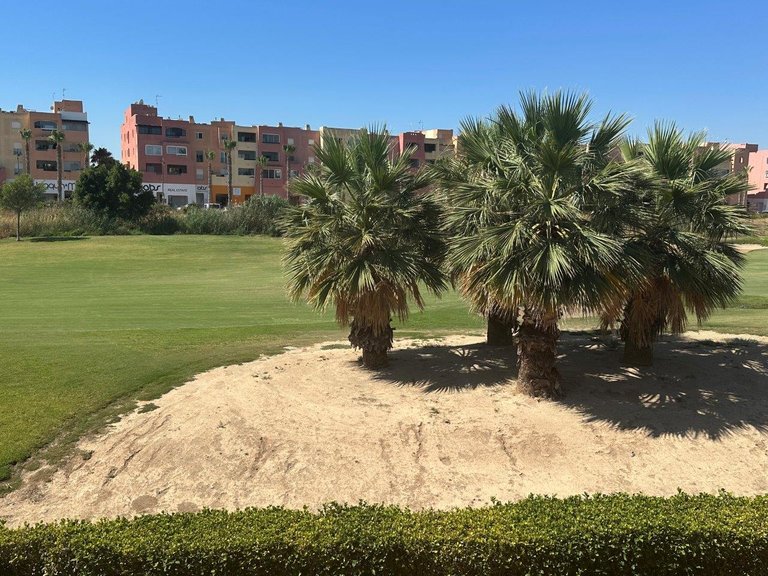 Town House for Sale in Mar Menor Golf Resort, Murcia 19