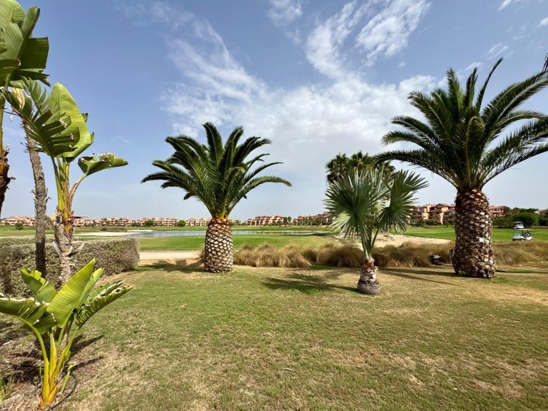 Apartment for Sale in Mar Menor Golf Resort, Murcia 21