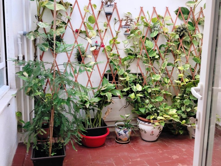 Apartment for sale in Elche, Alicante 10