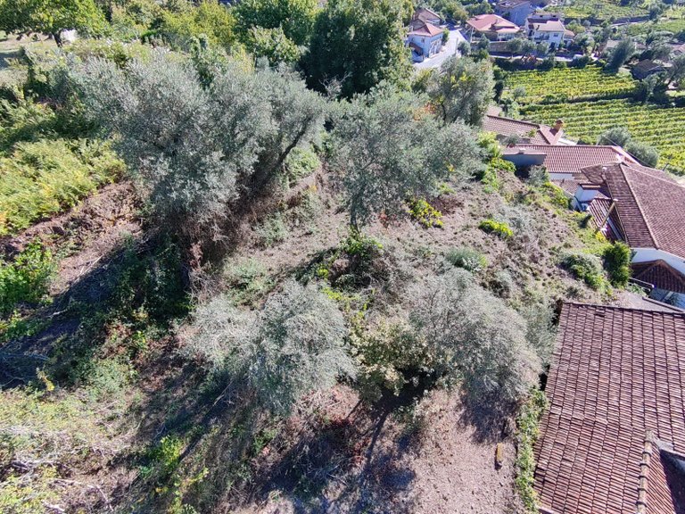 Country house for sale in Codeçoso, Braga, Portugal 10
