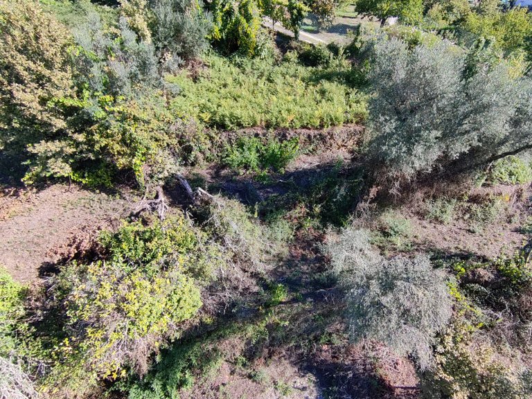Country house for sale in Codeçoso, Braga, Portugal 12