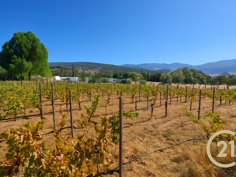 Country House for sale in Ronda, Málaga 3