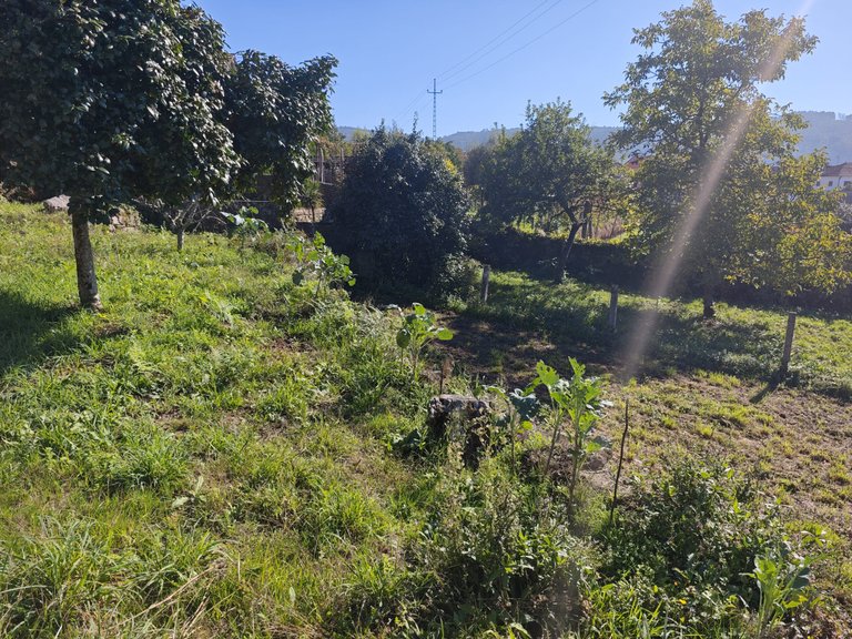 Town House for sale in Braga, Minho, Portugal 19