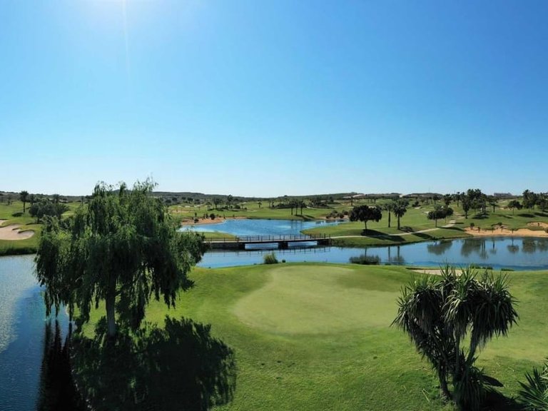 Villa for Sale in Alicante, Alicante 6
