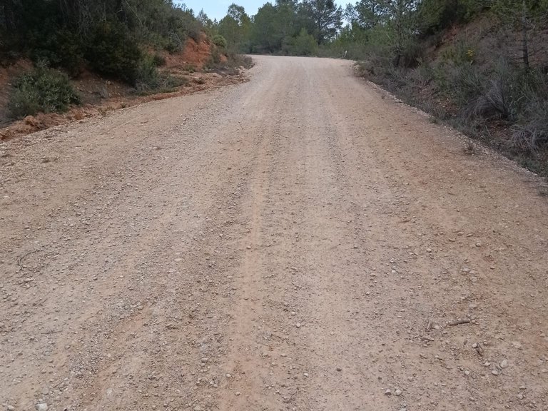 Encanto Rural en Bot con 2 Hectáreas de Almendros y una casita con cisterna 4