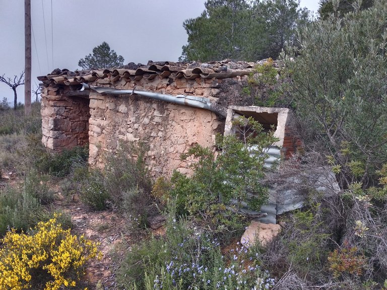 Encanto Rural en Bot con 2 Hectáreas de Almendros y una casita con cisterna 9