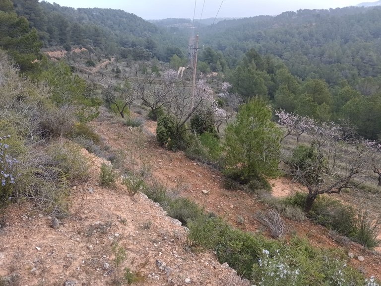 Encanto Rural en Bot con 2 Hectáreas de Almendros y una casita con cisterna 11