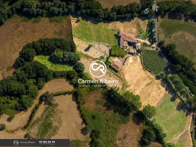 CASA DA RIBEIRA - Quinta em Rossas-Vieira do Minho com 3,2 Ha 4
