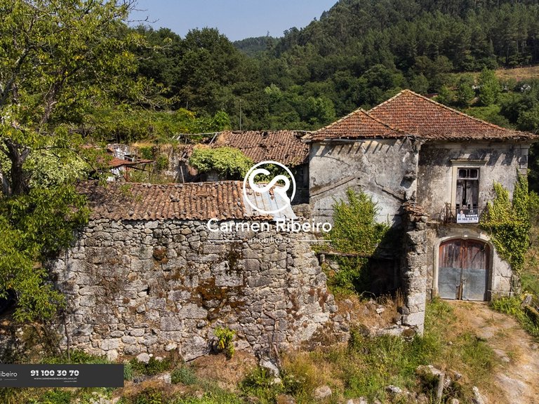 CASA DA RIBEIRA - Quinta em Rossas-Vieira do Minho com 3,2 Ha 6