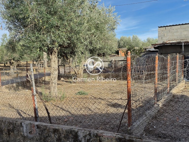 Moradia geminada terrea T2 de gaveto com quintal em São Bento do Cortiço 11