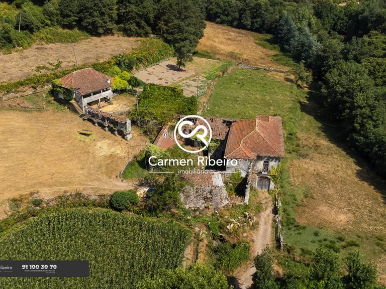 CASA DA RIBEIRA - Quinta em Rossas-Vieira do Minho com 3,2 Ha 11