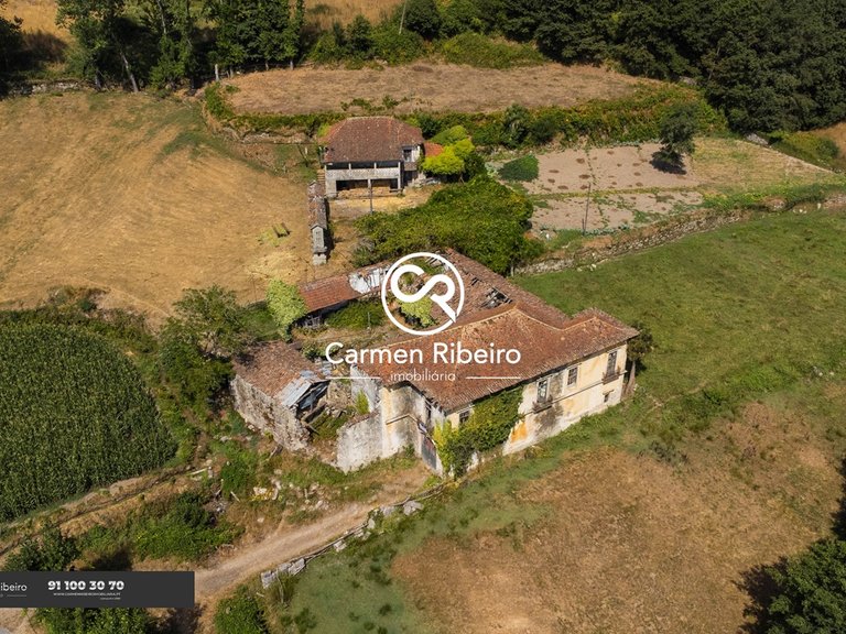 CASA DA RIBEIRA - Quinta em Rossas-Vieira do Minho com 3,2 Ha 3