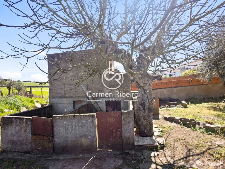 Moradia geminada T2 com quintal em Santo Amaro - Sousel 9