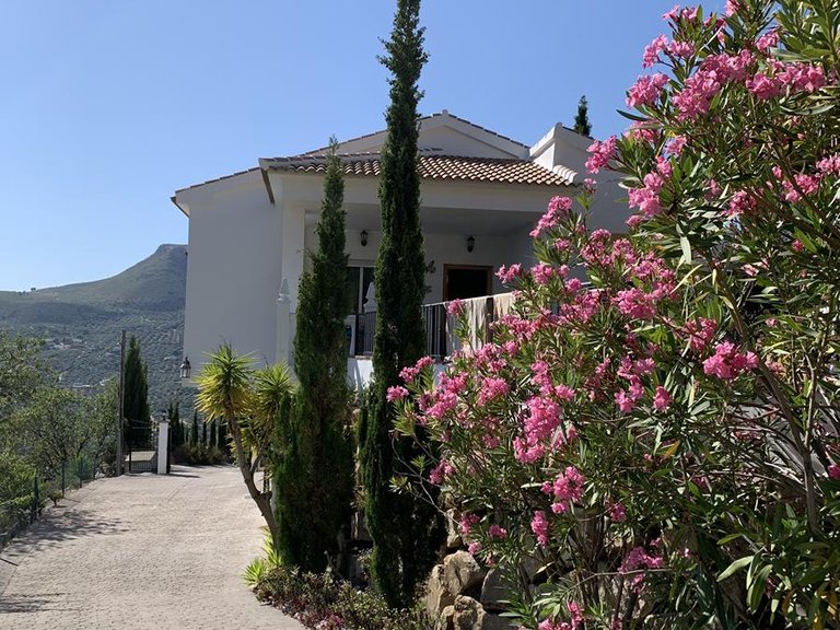 Casa Almendra 18