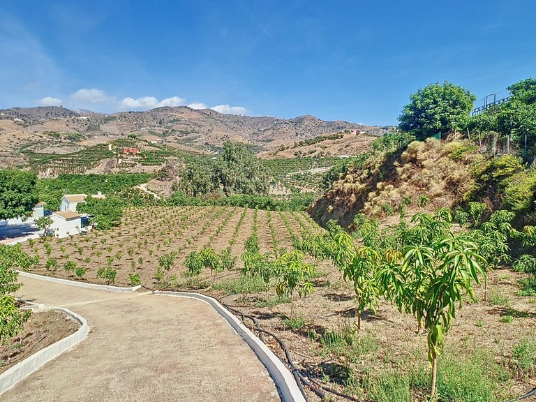 Villa La Granja 15