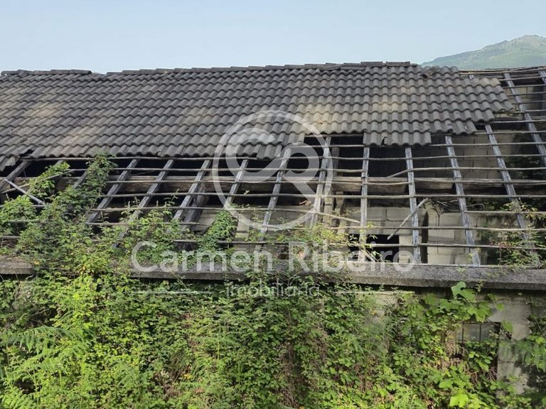 Ruina para restauro em Rossas - Vieira do Minho com terreno 6