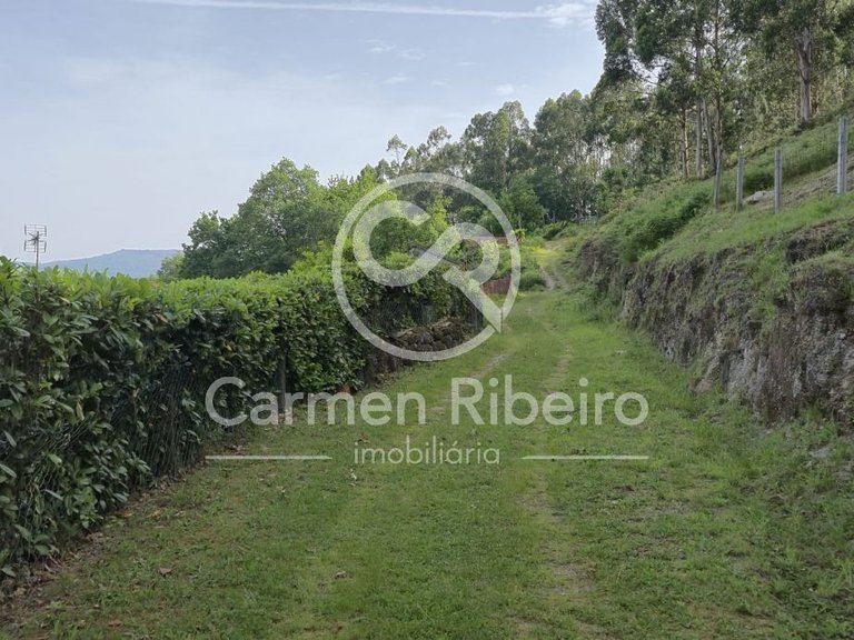 Ruina para restauro em Rossas - Vieira do Minho com terreno 13